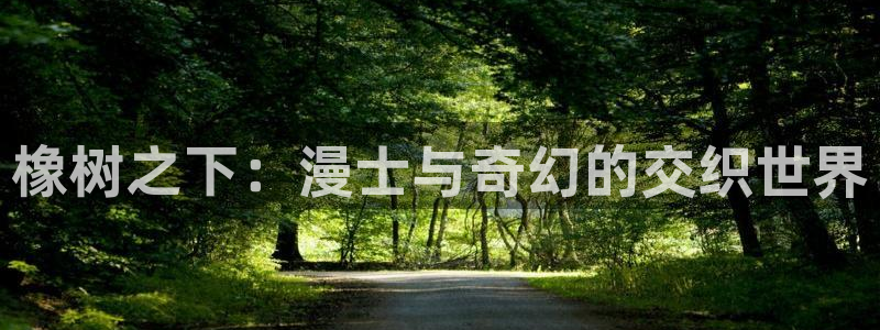 漫画之家官网下载安装