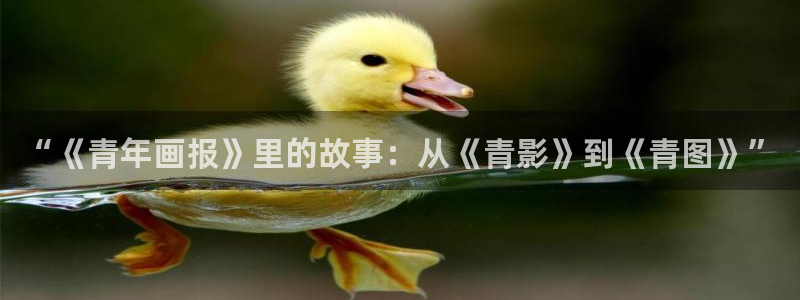 漫画之家社区