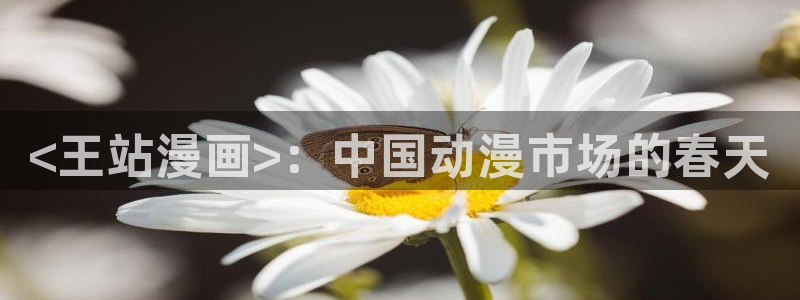 漫画之家入口