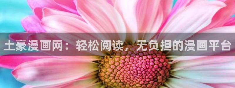 漫画之家漫画网入口