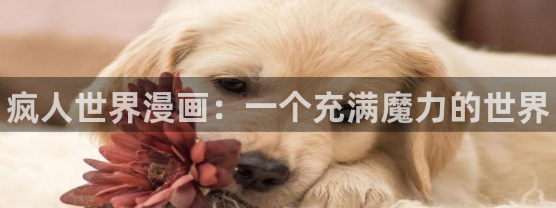 韩漫漫画之家
