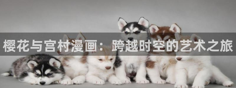 漫画之家社区版官网