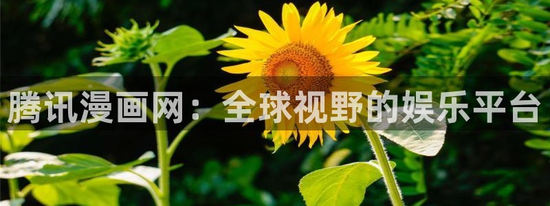 漫画之家韩漫免费