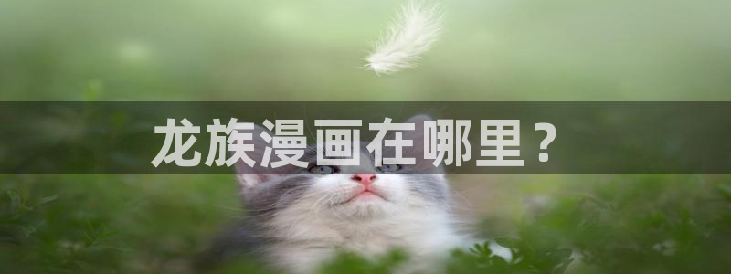 漫画之家app官网