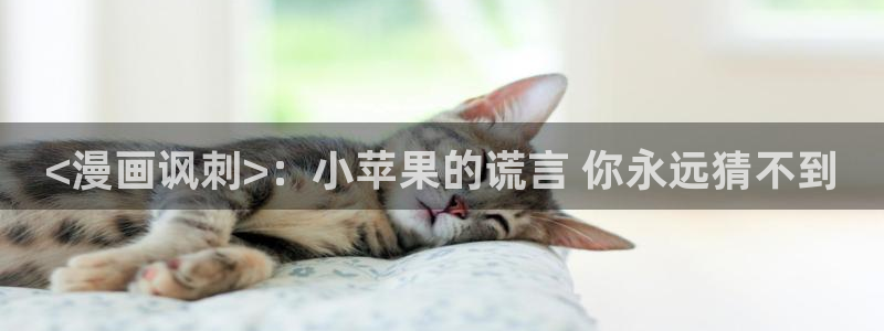 漫画之家重生之道