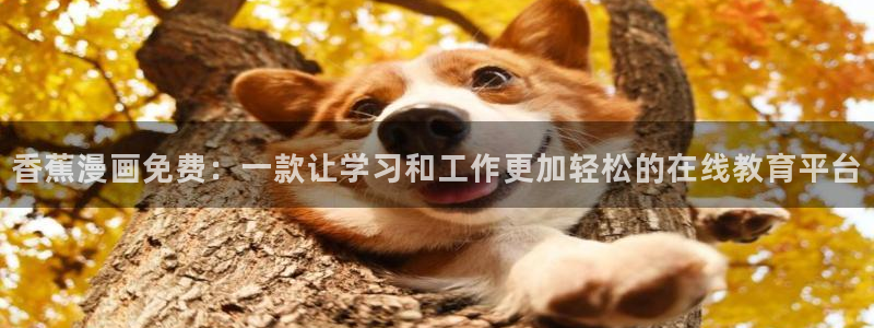 一拳超人漫画之家