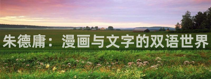 堀与宫村漫画之家：朱德庸：漫画与文字的双语世界