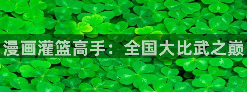 漫画之家韩漫免费观看：漫画灌篮高手：全国大比武之巅