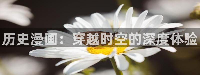漫画之家官网首页：历史漫画：穿越时空的深度体验