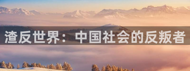 徒然喜欢你漫画之家：渣反世界：中国社会的反叛者