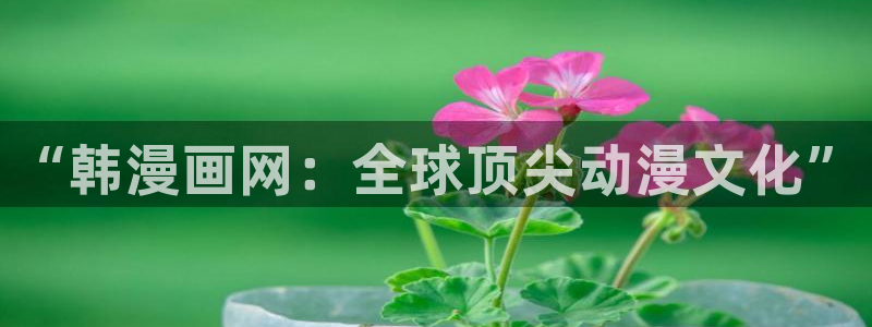 漫画之家app下载：“韩漫画网：全球顶尖动漫文化”