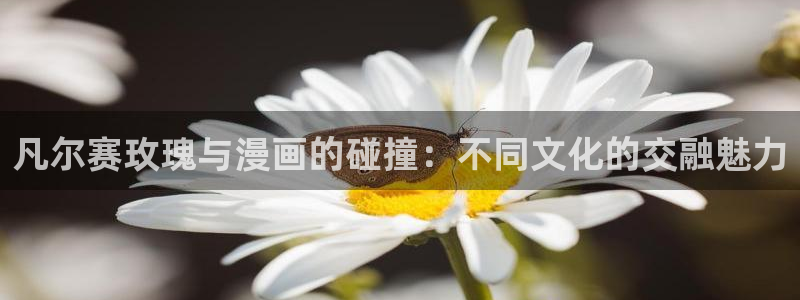 漫画之家怎么看漫画全集：凡尔赛玫瑰与漫画的碰撞：不同文化的交融魅力