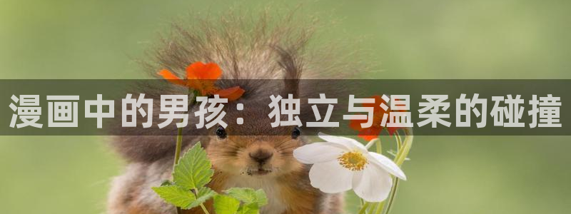 漫画之家官网_漫画之家韩漫在线：漫画中的男孩：独立与温柔的碰撞