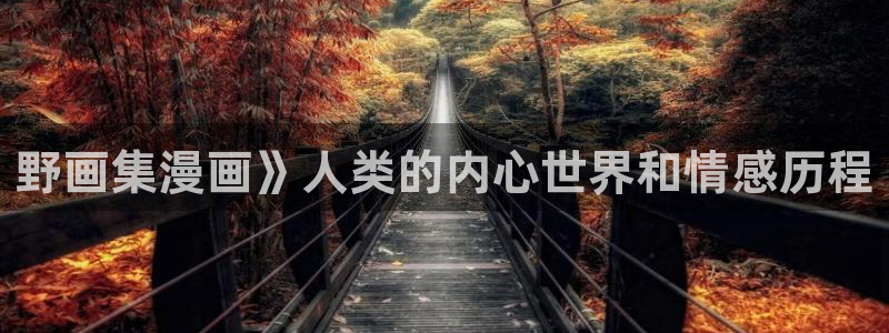 漫画之家无广告：野画集漫画》人类的内心世界和情感历程